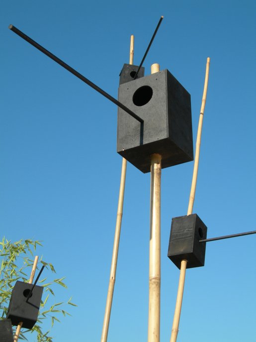 oiseau