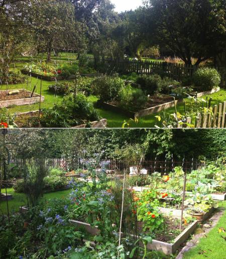potager