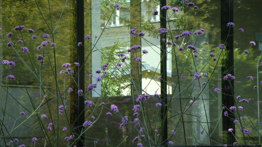 reflet