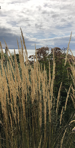 img_1549