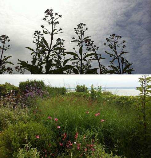 sainte-adresse