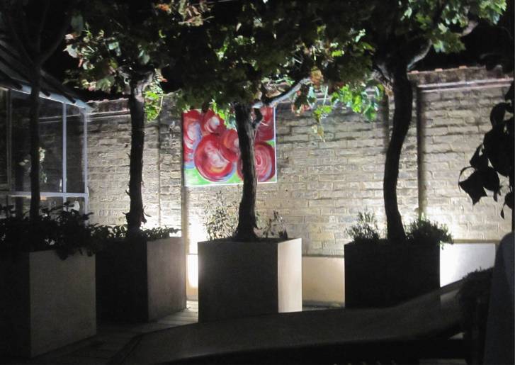 vignes