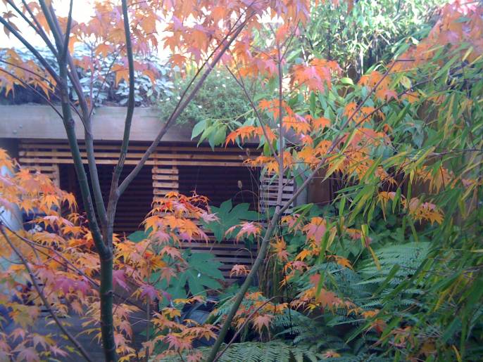 automne