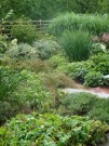 DSC00205
