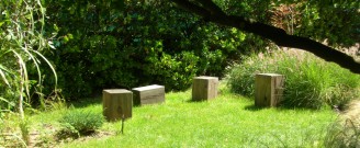 DSCN1206