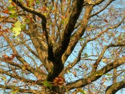 DSCN3152