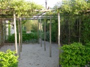 DSCN6747