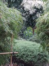DSCF0600