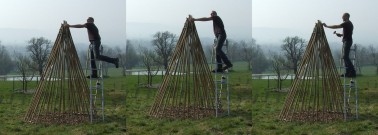 tipi