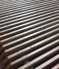 IMG_2755