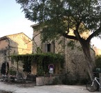 IMG_1268