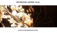 heureuse année